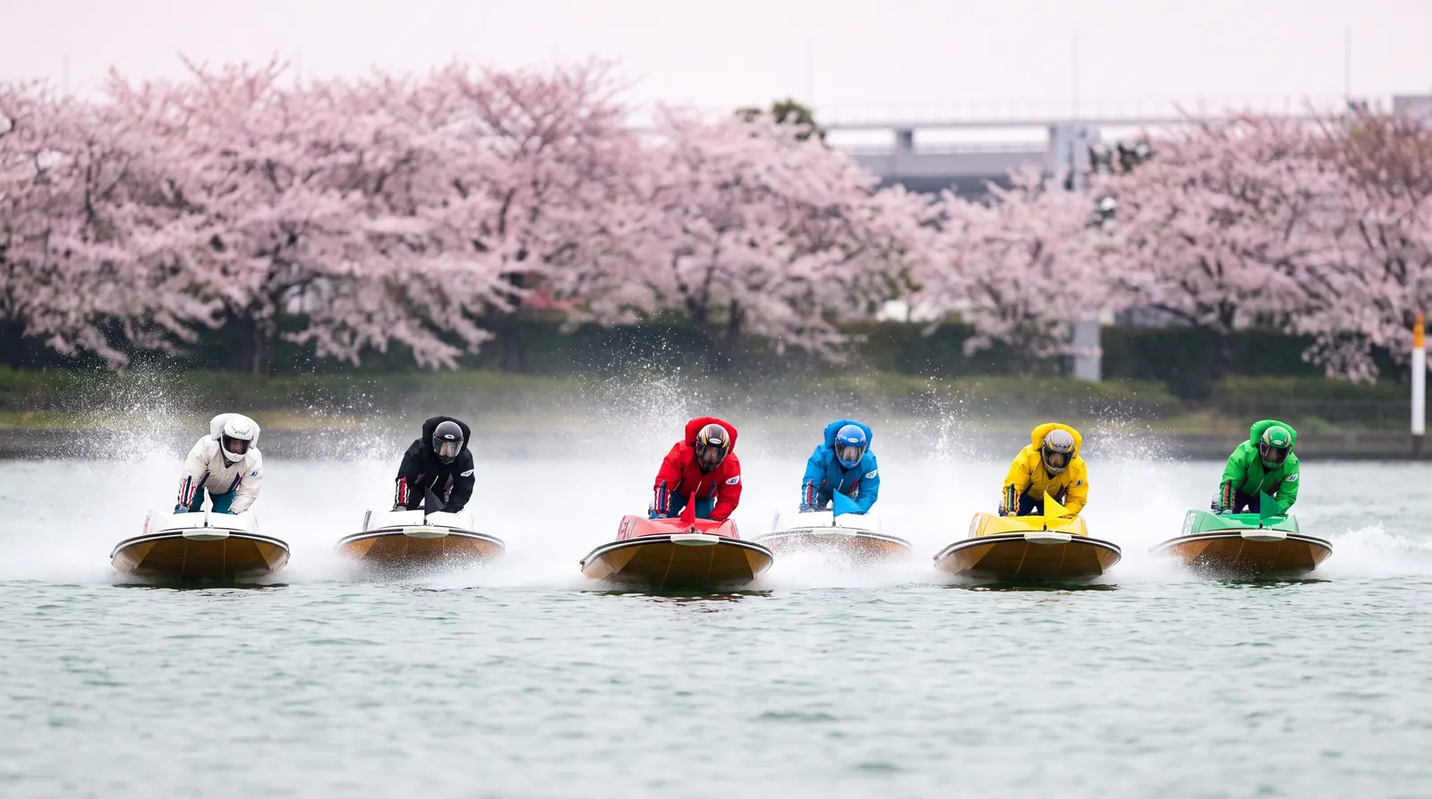 桜の咲く3月下旬の水面を横一線で走る6艇（ボートレースクラシック・SG）のイメージ