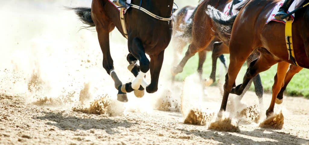 draft-racing-banner-image-1024x481-1 (1)