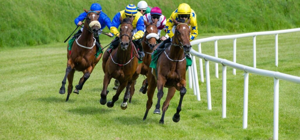 dubai-world-cup-banner-image-1536x722-1