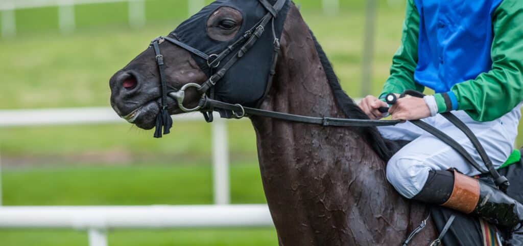 gran-alegria-know-more-banner