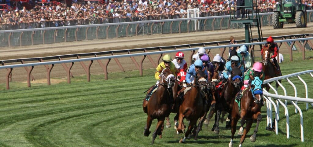 hakodate-banner-iamge-race-1024x481-1