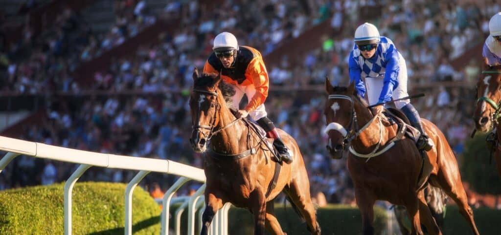 hanshin-banner-image-racecourse-1024x481-1