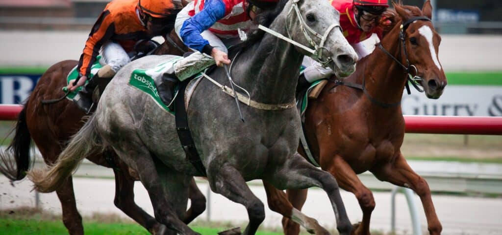 kokura-banner-race-image-1024x481-1