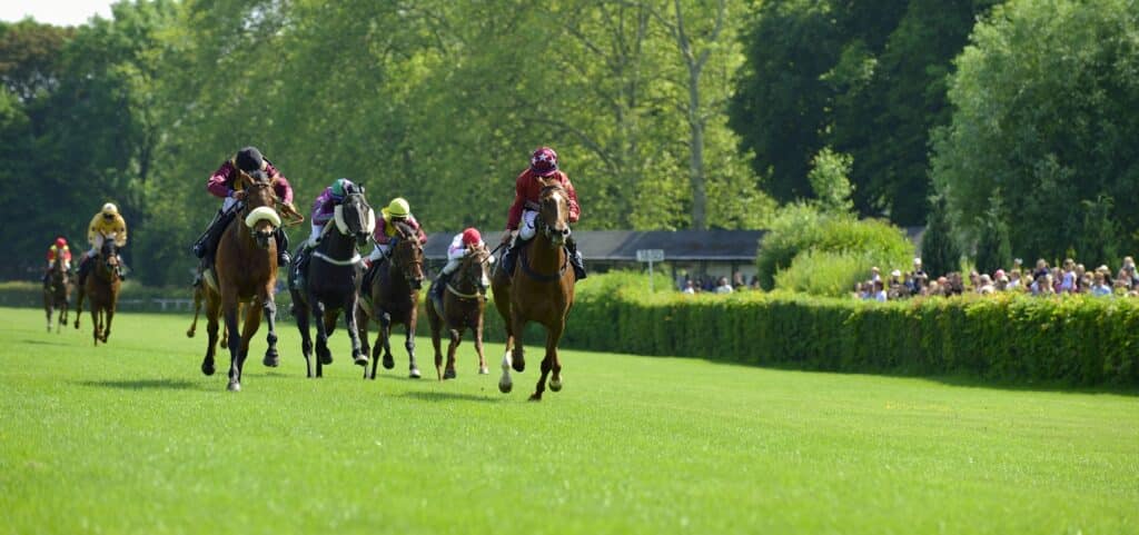 kyoto-banner-image-race-course-1024x481-1