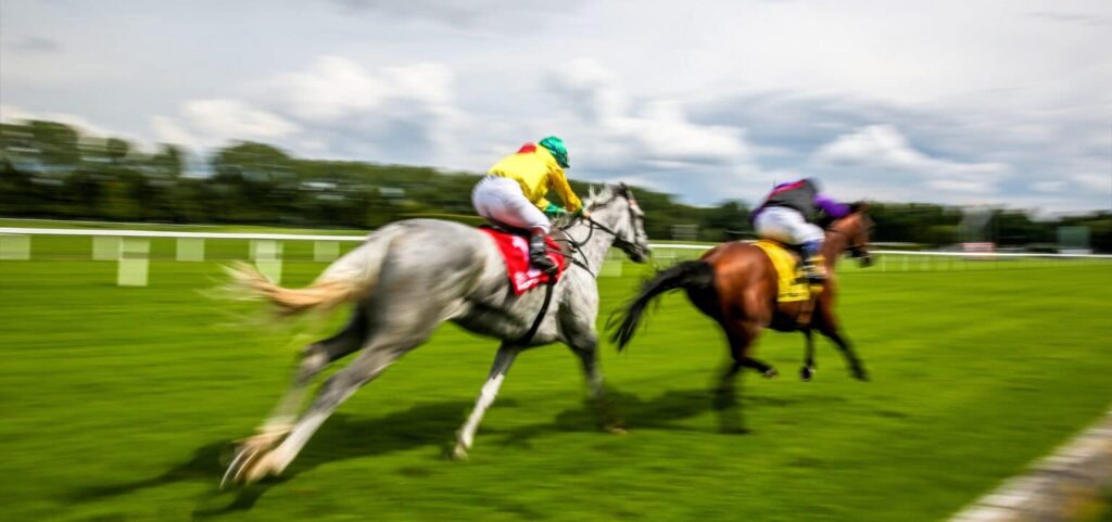 saga-racecourse-banner-image-1536x722-1