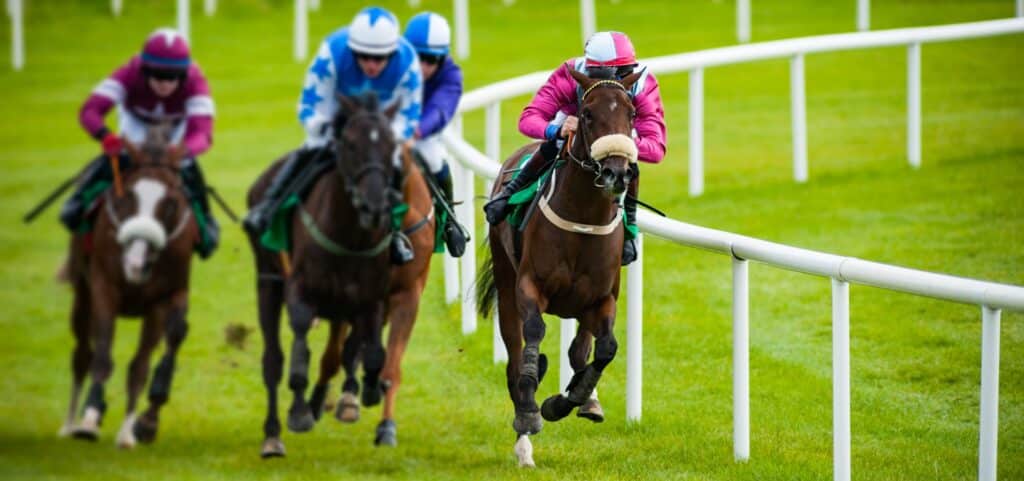 sprinters-stakes-test-banner-image-1024x481-1