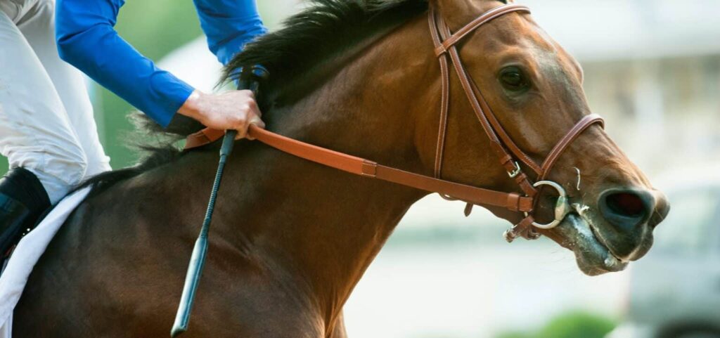 takarazuka-banner-kinen-1536x722-1