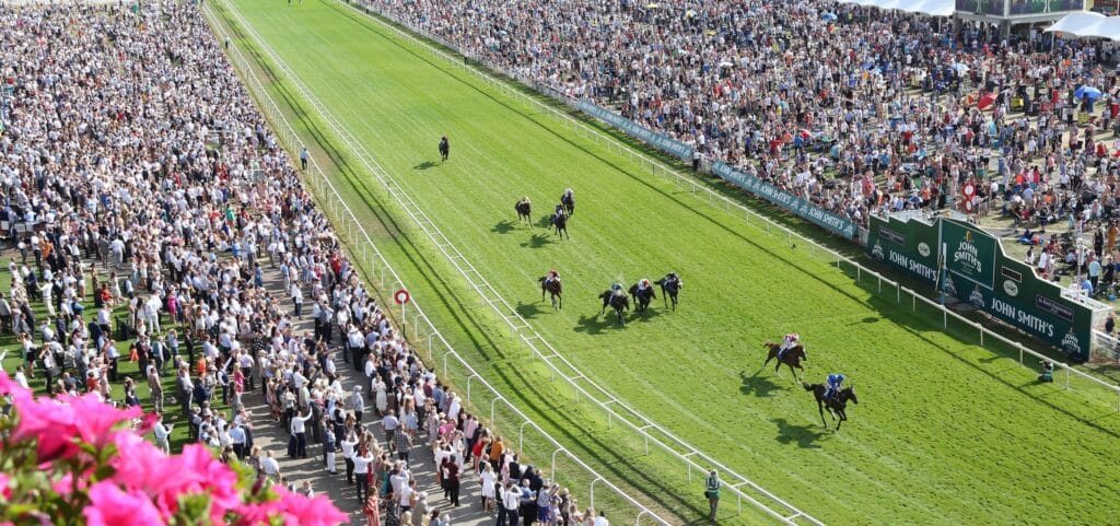tokyo-race-course-banner-image-1024x481-1