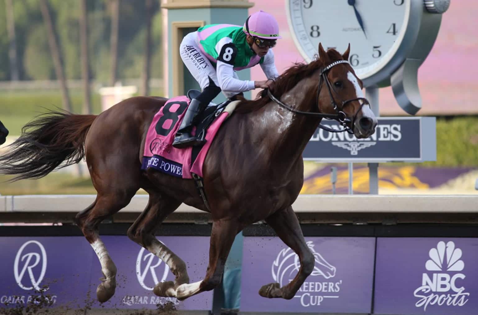 2025ブリーダーズカップスプリントで注目の競走馬とおすすめブックメーカーまとめ