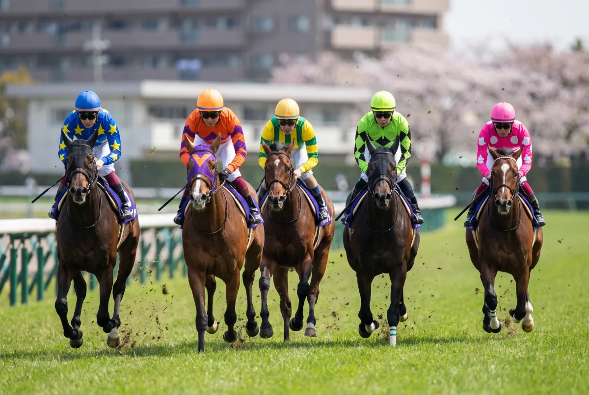 カラフルな勝負服の騎手たちが横一線で競り合う競馬のレース